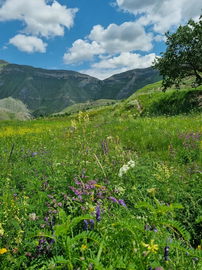 КАВКАЗ ТУР