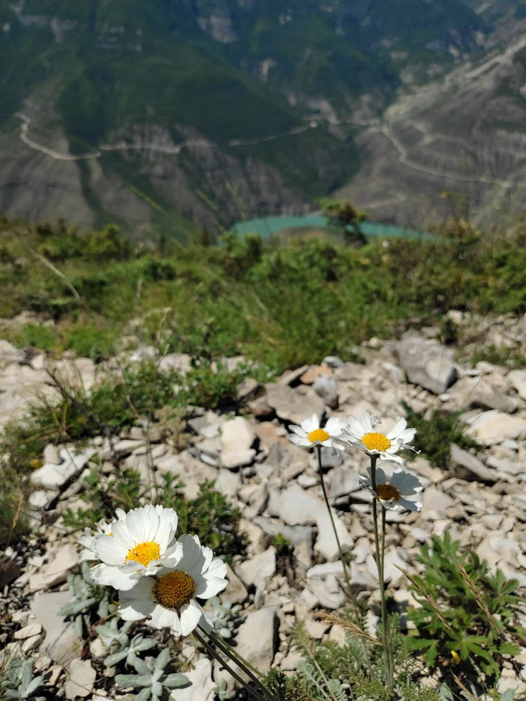 КАВКАЗ ТУР